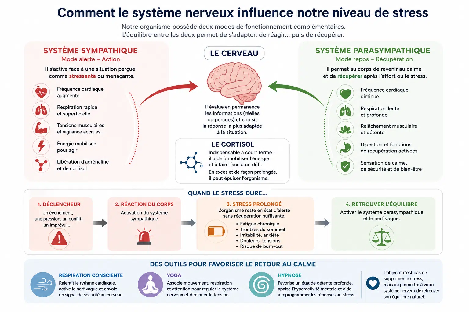 schema pourquoi le stress ne disparait jamais